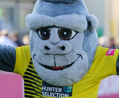 Design Your Own Alfred The Gorilla Face Mask News Gloucestershire Cricket